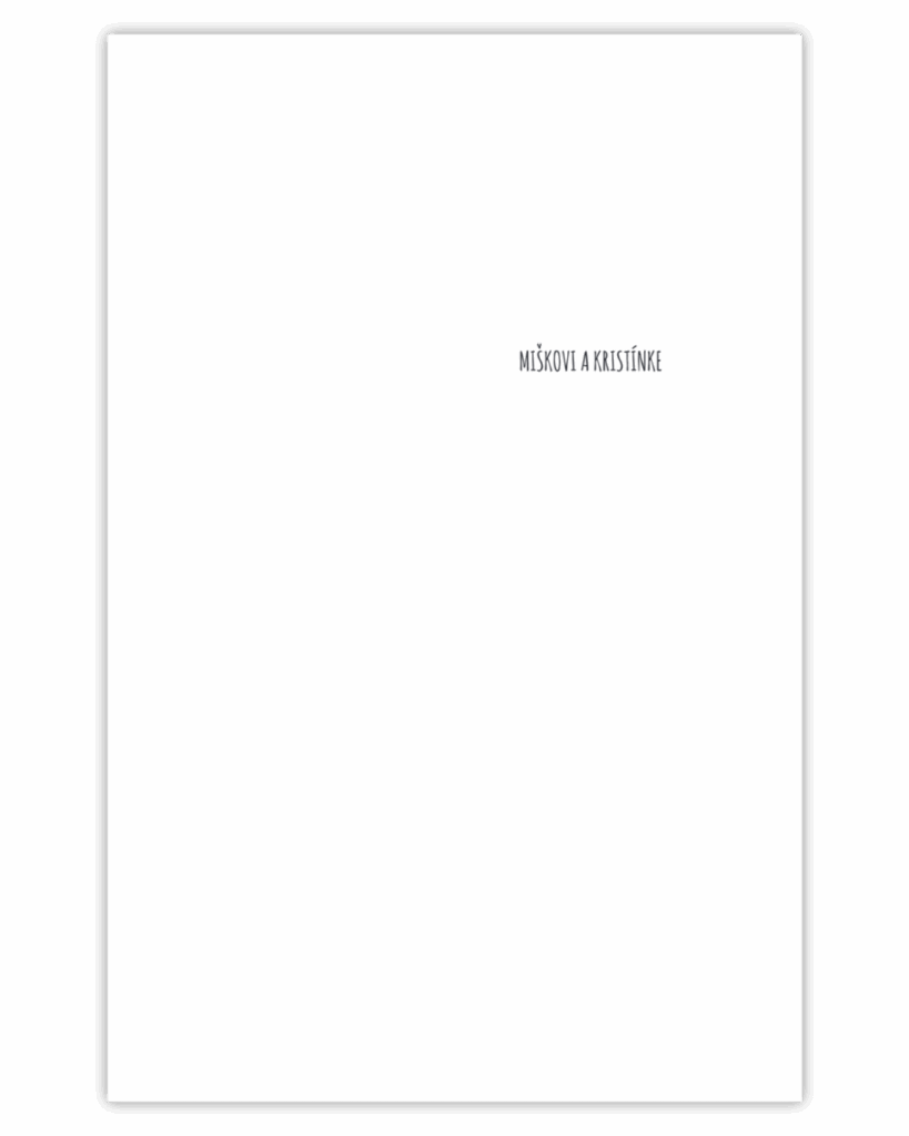 Venovanie v knihe Krotitelia displejov od Slávky Kubíkovej.